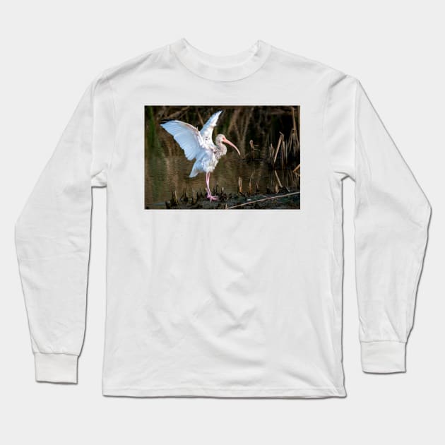 Immature White Ibis Entertaining Long Sleeve T-Shirt by Debra Martz